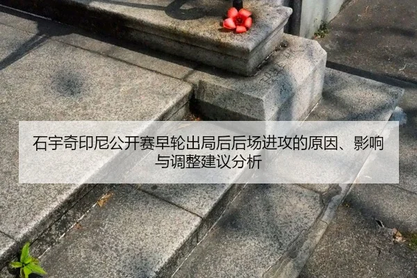 shi-yu-qi-yin-ni-gong-kai-sai-zao-lun-chu-ju-hou-hou-chang-jin-gong-de-yuan-yin-ying-xiang-yu-tiao-zheng-jian-yi-fen-xi-2-284.jpg